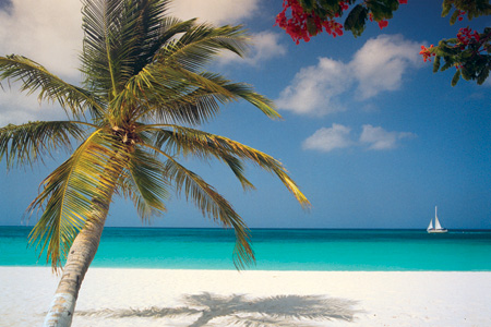 Aruba is onderdeel van de zogenaamde ABC-eilanden.
