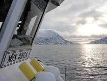 Eagle Safari op de Lofoten, Noorwegen