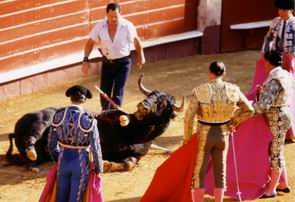 Stierenvechten is een eeuwenoude traditie en maakt deel uit van de Spaanse cultuur.