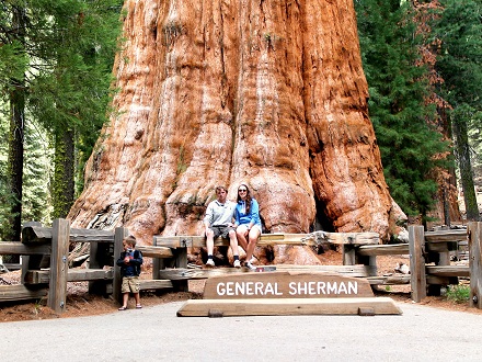 Sequoia NP is beroemd vanwege de hoogste boom ter wereld: de Sequoia Sempervirens, de General Sherman.