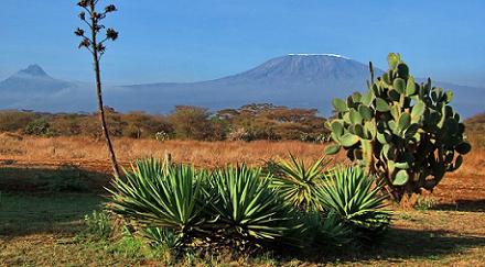 De Kilimanjaro in het noord-oosten van Tanzania is de hoogste berg van Afrika. De berg steekt ruim 5 kilometer uit boven zijn omgeving en is daarmee de hoogste vrijstaande berg ter wereld.
