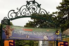 Tiergarten Schnbrunn geldt als de oudste dierentuin ter wereld. De dierentuin in opgericht in 1752 en bevindt zich in de tuinen van het voormalig keizerlijk paleis Schnbrunn in Wenen.