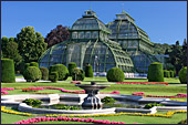 Het palmenhaus is ideaal voor een 'coffeebreak'.