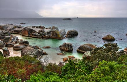 Boulder Beach, vlakbij Kaapstad in Zuid-Afrika.