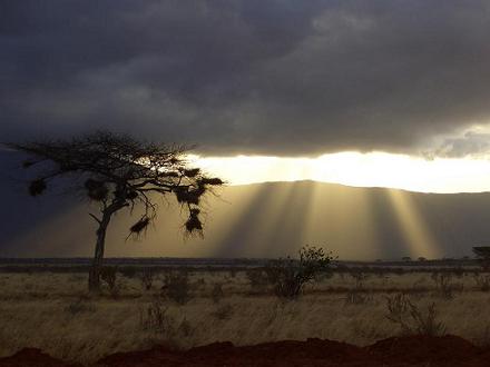 Kenia 2006