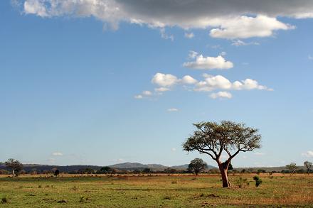 Tanzania