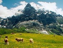 Jungfrau Regio, Berner Oberland, Zwitserland
