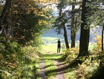 U zoekt een wandelvakantie voor u zelf, een groep of voor uw gezin. Op het terrein van de wandelvakanties zijn er veel mogelijkheden die variren van een dagwandelingen en trektochten tot individuele wandelarrangementen of 50+ groepsreizenreizen met een aangepast wandeltempo!