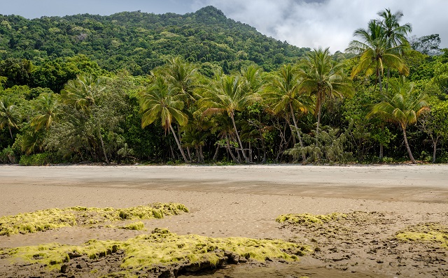 Daintree Queensland