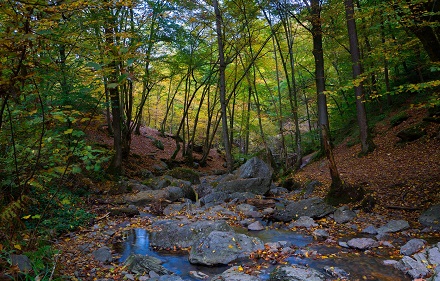 Belgische Ardennen