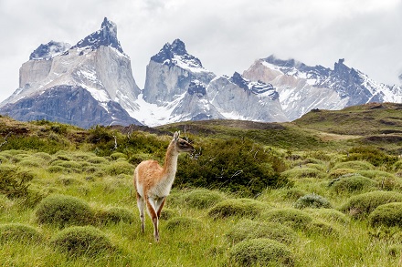 Torres del Paine