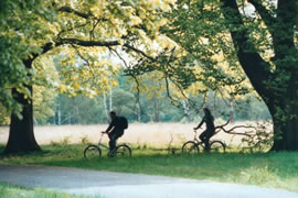VakantieWegwijzer.com heeft op deze pagina een overzicht gemaakt van de leukste fietsvakanties, mooiste fietsgebieden en beste fietswebsites van Nederland.
