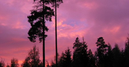 Finland is misschien wel het meest bekend door de vredige en mooie natuur. Uitgestrekte bossen, een unieke archipel en duizenden meren en een licht glooiend landschap. Dankzij licht, onmetelijke ruimte en de noordelijke ligging een ietwat mystieke natuur.