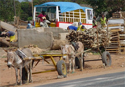 Gambia