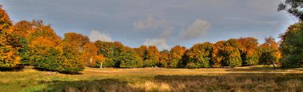 Een natuurpark, net ten noorden van Kopenhagen