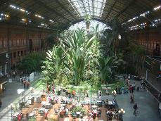 Estacin de Atocha is een enorm groot station met een tropische tuin in de wachthal.