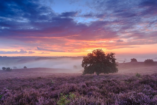 De Veluwe