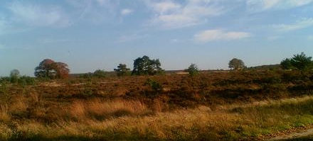 De Veluwe