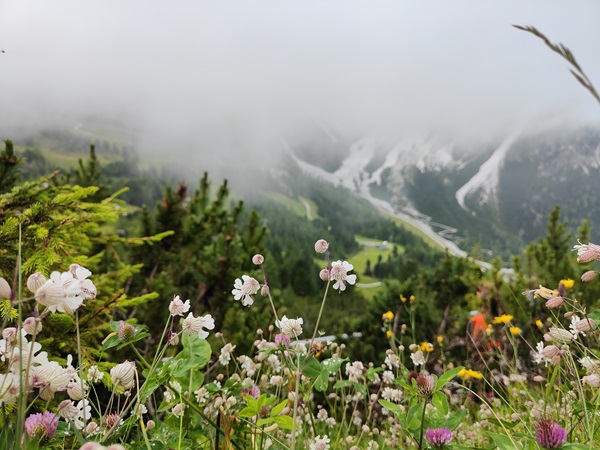 Wandelen Stubai 2000 Oostenrijk