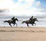 Uitwaaien aan het strand, in volle galop langs de kustlijn.