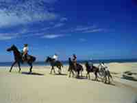 Een trektocht te paard door de Marokkaanse Sahara op Arabische Berber hengsten.