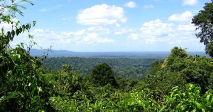 Suriname is het land van tradities, grote rijkdom aan cultuur en natuur en het land van de eeuwige zon.