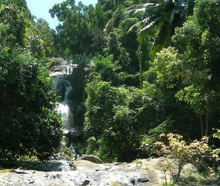 De jungle van Koh Samui, Thailand, met een waterval