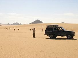 De zandduinen en de uitgestrekte vlaktes spreken iedere woestijnreiziger tot de verbeelding.
