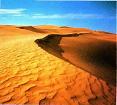 De woestijn van Abu Dabi.