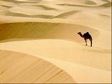 De Sahara - de grootste woestijn op aarde.